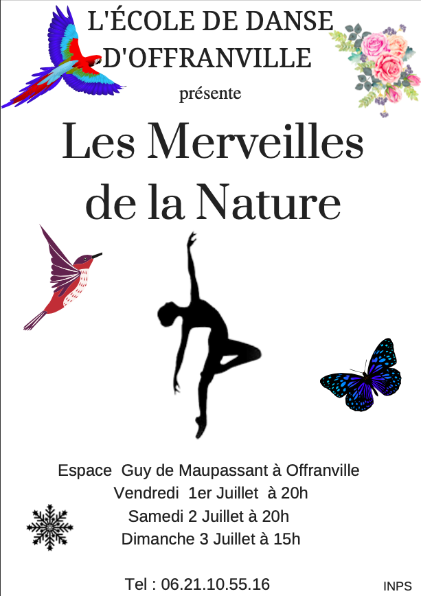 affiche spectacle de l'école de danse d Offranville