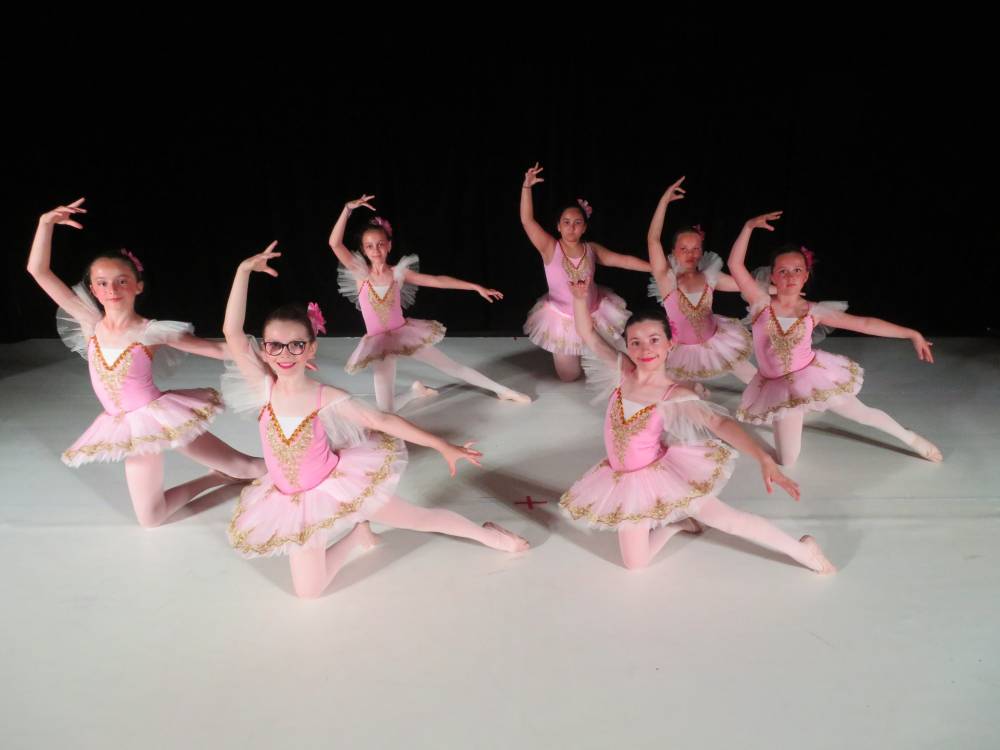 balet de danse (4)